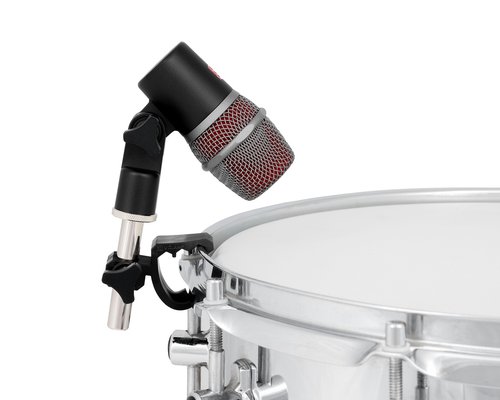 Relaxace v přírodě se psem